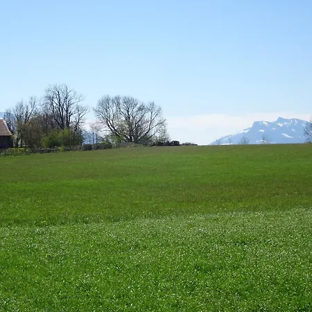 Haus Elbraechter - Erdgeschoss *